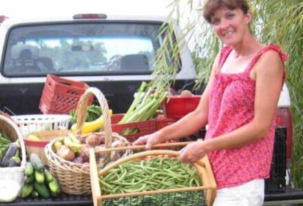 A Hoophouse on the Horizon Image